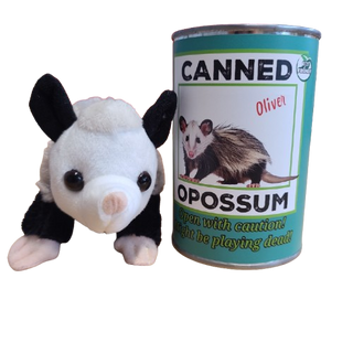Oliver the Canned Opossum | Stuffed Animal Plush w/Jokes: Pop Top Lid