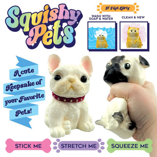 So Much Fun! Squishy Pets Keepsake Assortment -