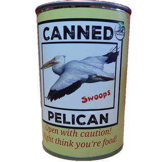 Swoops the Canned Pelican - Eco-Friendly and Recycled Gift: Pop Top Lid
